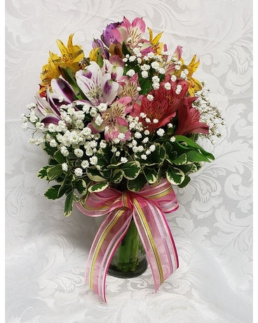 Awesome Alstroemeria