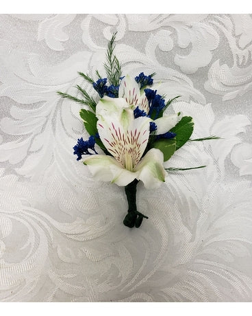 White Alstro & Blue Bout.