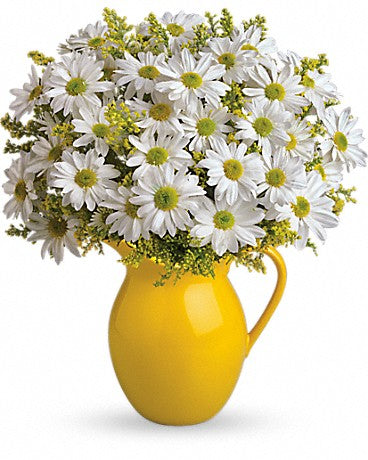 Teleflora's Sunny Day of Daisies